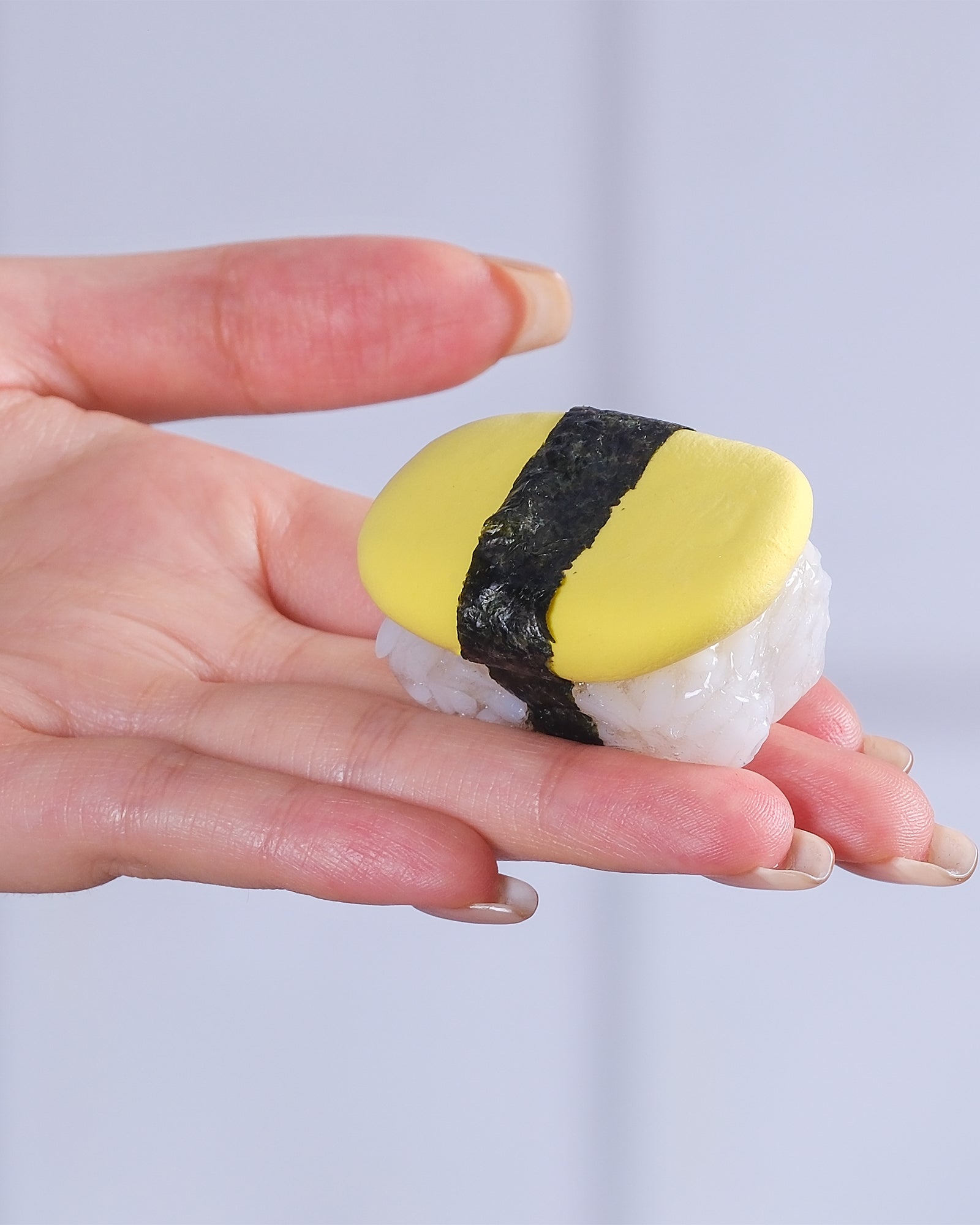 Sushi Cooking Kit, DIY Slime, Crunchy Slime